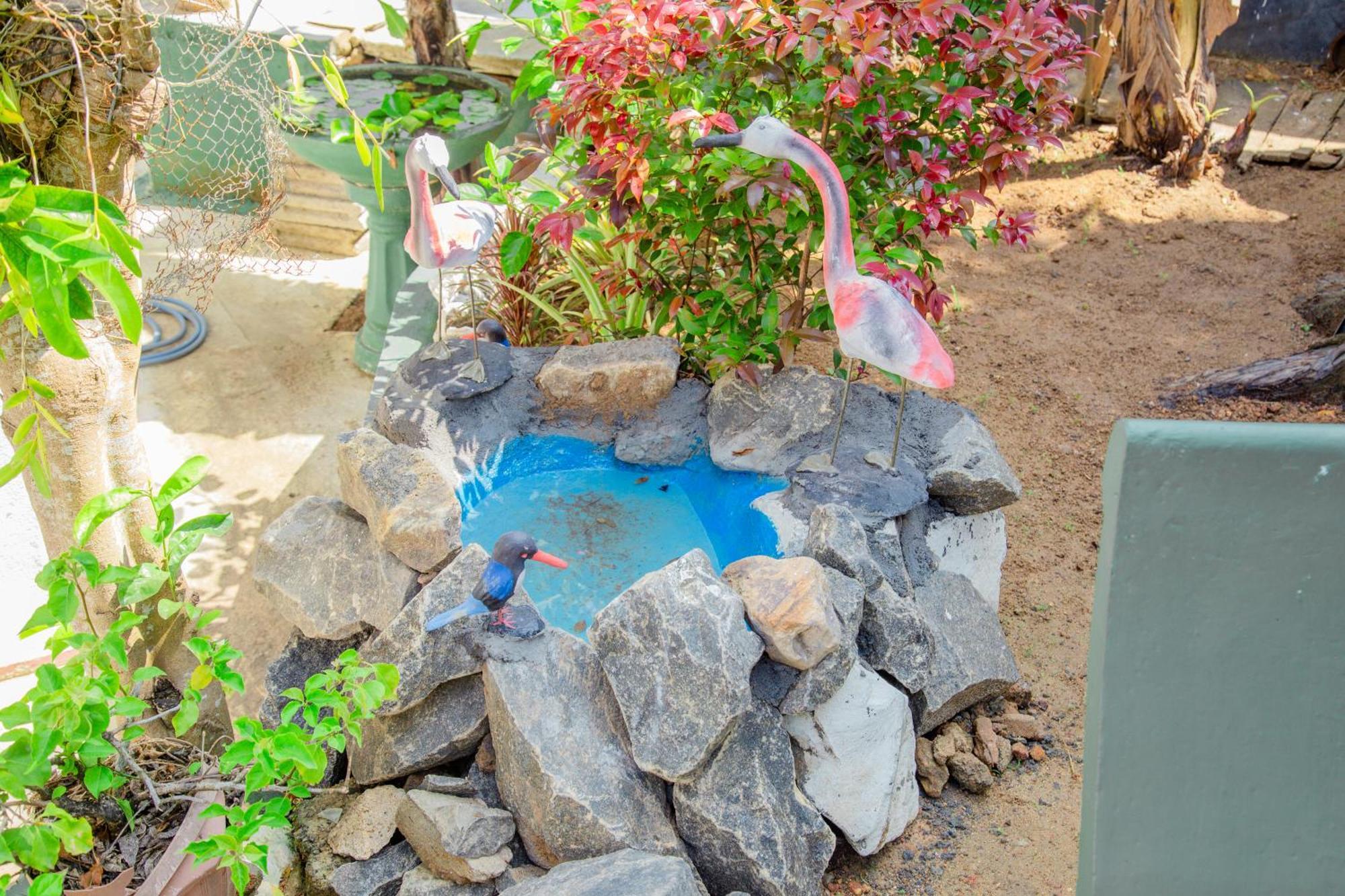 Hispaniola Inn ميريسا المظهر الخارجي الصورة